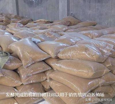 發(fā)酵飼料 抗生素替代與中小養(yǎng)殖場(chǎng)無抗養(yǎng)殖的可行性分析