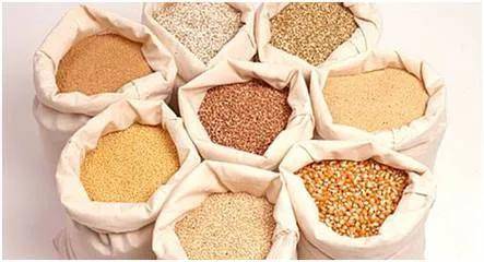 買料啦 開啟畜牧漁業(yè)飼料營銷新篇章